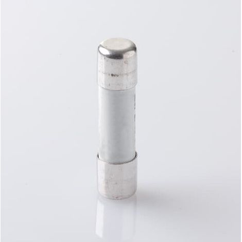 Fusible cylindrique 10.3x38 mm E 9F10 gG 12A 2CSM256273R1801 ABB T256273
