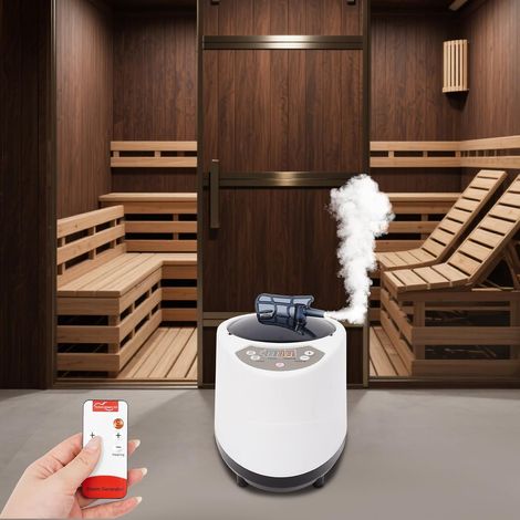 1000W Appareil Vapeur Pour Sauna, Portatif Appareil Vapeur Pour Sauna 3 L, Home SPA, Pour L'utilisation D'un Sauna Maison, L'hôtel Ou Dans D'autres Lieux Intérieurs (1/5)