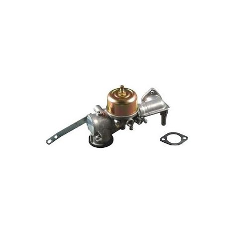 491590 - Carburateur complet pour moteur BRIGGS et STRATTON