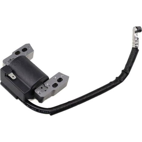 Bobine d'allumage pour tondeuse à gazon Briggs & Stratton Quantum 625E, 625EX, 650, 675ex, 725 Series remplace 802574, 590454,493237 (1/3)