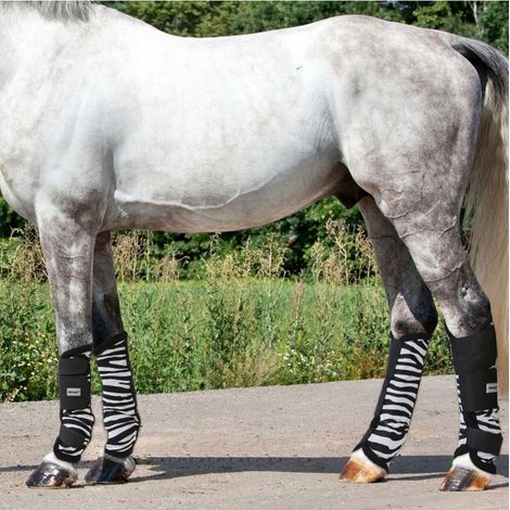 Small Pony, ZEBRA: Set 4 stinchiere antimosche per cavalli modello Fly Zebra in tessuto a rete