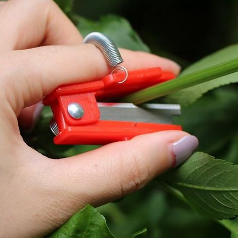 Couteau de pouce multifonction au design compact type guillotine, avec anneau métallique pour le doigt – Idéal pour le jardinage, la cueillette du thé et la taille en verger (1 pièce) (1/5)