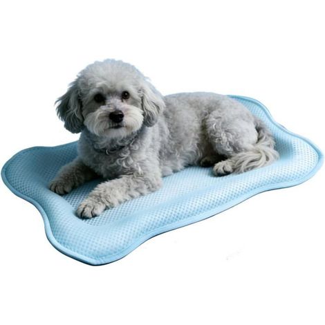 Tapis rafraîchissant chat 42x58 cm, portable lavable, couverture fraîcheur été, pour intérieur/extérieur, balcon, voiture, plage (1/5)
