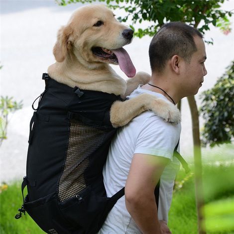 Hunde-Rucksack mit wasserdichter Auskleidung, ideal für Reisen mit kleinen Haustieren, Wandern und Radfahren. (1/5)