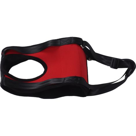 Harnais pour pattes avant de chien, réglable, imperméable, confortable et élastique, pour chiens de compagnie, taille M (1/5)