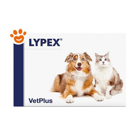 VetPlus Dog & Cat Lypex - VetPlus Dog & Cat Lypex - Confezione Da 60 Compresse (1/2)