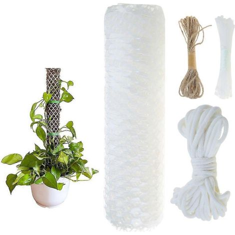 Tuteurs en treillis plastique pour plantes d'intérieur, attaches et ruban adhésif de fixation. (1/4)