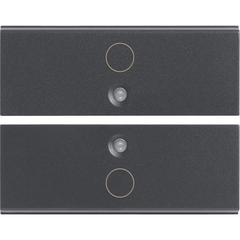 VIMAR - 16842.0 Zwei halbe Tasten 2M Symbol O grau