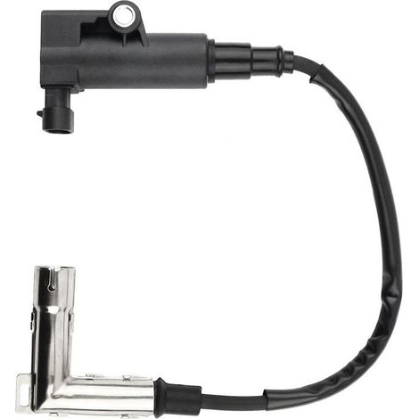Bobina di accensione ad alta tensione 2551904-S 25-519-04-S per motori serie ECH PCH ECV EKT EZT FCV PCV. Accessori. (1/2)