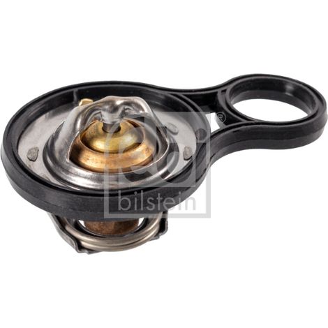 Termostato 47547 febi