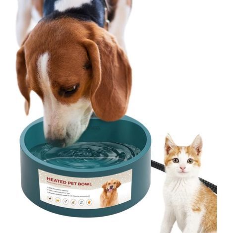 Gamelle chauffante d'extérieur pour chien (1/4)