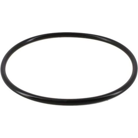 Joint de couvercle Ø151 mm pour FILTRE SAB Jupiter. Galatic et Titan 6'' - 101D010 (SNTE) - Certikin (1/2)