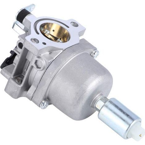 Carburateur de rechange pour tondeuse Nikki, 697203, Briggs & Straton 795873 (1/5)