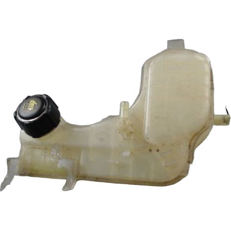Vase Expansion RENAULT Laguna [PRODUIT D'OCCASION]♻️217100014r (1/3)