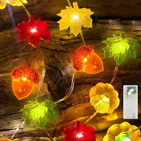 Herbstliche LED-Lichterkette, 2,1 m, 20 LED-Kürbis-Ahornblätter-Eichellichter mit Timer, Innendekoration für Thanksgiving-Partys (1/5)