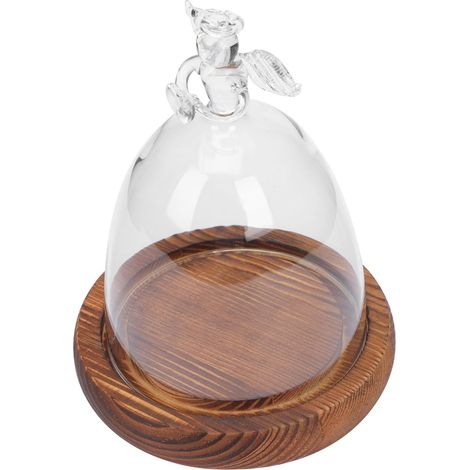 Dôme en Verre Décoratif Petit Modèle avec Socle en Bois Antique Couverture Paysagère en Verre pour Micro-Paysage Vase à Fleurs Éternelles Transparent Ange Décoration Intérieur (1/5)