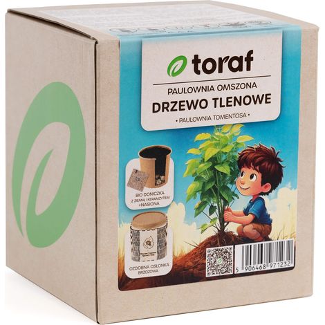 Set di piante ossigenanti Paulownia D1232 con vaso (1/5)