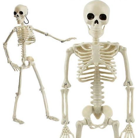 Décoration squelette d'Halloween, squelettes articulés suspendus, 38 cm (15 pouces), lot de 2 (1/5)