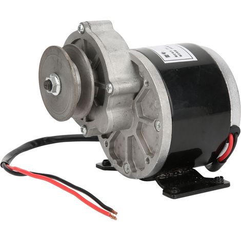 Moteur à Engrenage 24V 250W avec Poulie en Cuivre Pur - Accessoire Haute Performance et Durable (1/5)