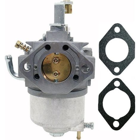 Carburateur pour moteur Robin EH25 254CC (EH25-2) compatible avec moteurs 8.5HP, référence 254-62533-10, puissance 251CV.-xxx (1/5)