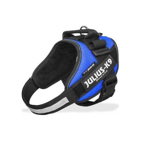 Julius arns pour chien idc mini bleu