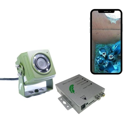 HD Cable Connection Bird Box & Wildlife Camera Mini Recorder Pack