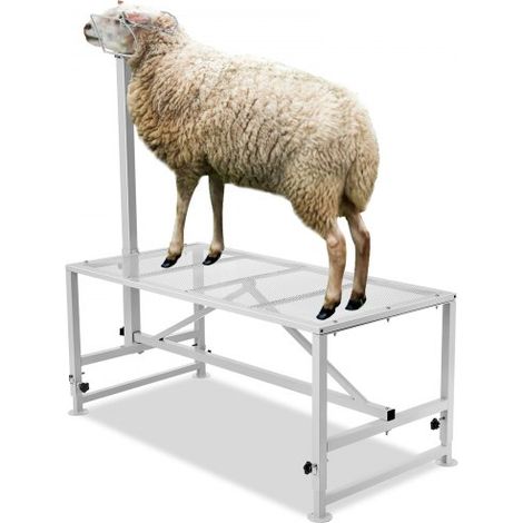 Trimmständer, 1195 x 584 mm Viehstand, Metallstand zum Melken und Scheren von Vieh, 533 bis 838 mm verstellbare Höhe, mit Kopfstück und Nasenschlaufe, 227 kg Ladegewicht, weiß (1/5)