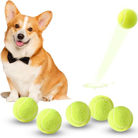 Diamètre 5 cm, Lot de 6 Balles de Tennis Mini pour Chien, Compatibles avec Lanceur Automatique (1/5)