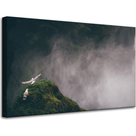 Lienzo impreso Naturaleza vista desde arriba 80x50 cm
