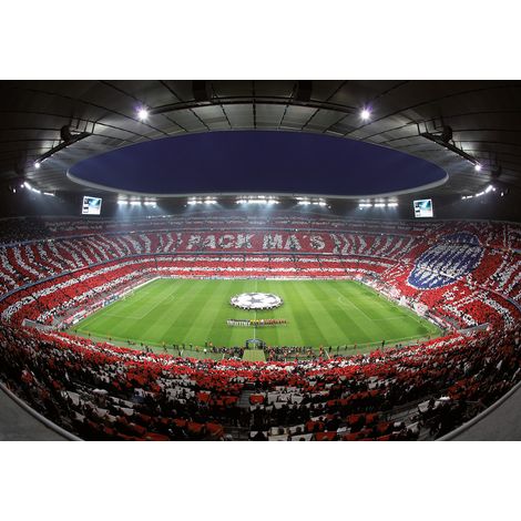 Papier peint panoramique foot stade allemand | Tapisserie panoramique sport chambre garçon | Papier peint panoramique chambre ado - 366 x 254 cm (8 pièces) (1/2)