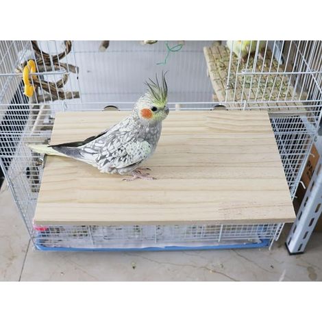 Bird Platform Wood Pet Perch Cage Accessory Parakeets Cockatiels Rats Hamsters Guinea Pig (1/4)