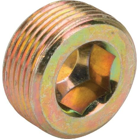Stopfen M24x1,5 VICON KG01032561