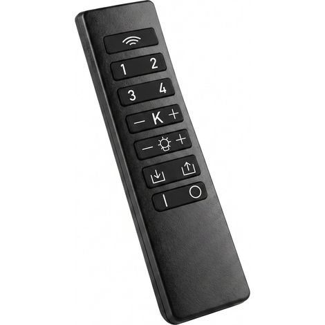 Accessoire REMOTE CONTROL H16cm (1/2)