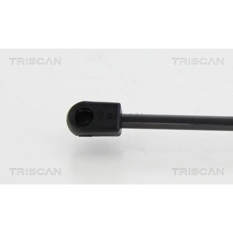 Vérin de hayon, de coffre Triscan 8710 24242 OPEL 1 32 081 93867088