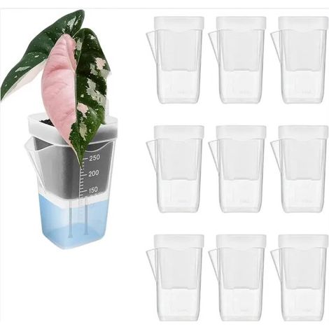 Lot de 10 mini pots transparents. En plastique recyclé. Arrosage automatique. Compacts et robustes, ils sont parfaits pour les balcons, les bureaux et les jardinières. (1/5)