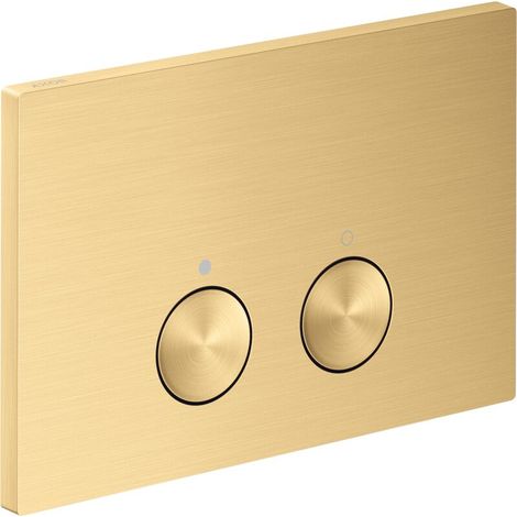 AXOR 42530250 Plaque de commande Axor FlushPlate BGO