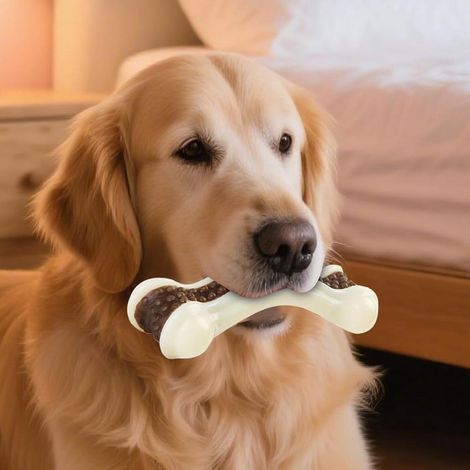 Os à mâcher pour chiots et chiens adultes, accessoire apaisant et anti-stress pour chiens de toutes tailles (1/5)