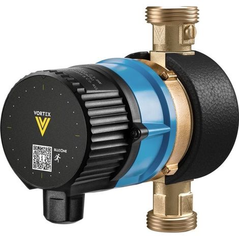 Vortex Pumpe BWO 155 RW mit Ventilen Anschluss 1"a, mit Dauerläufermodul (1/2)