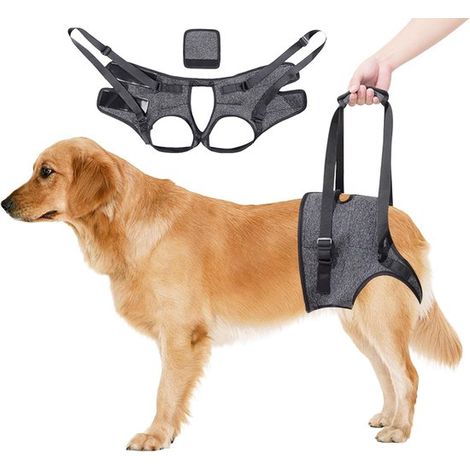 Hunde-Hebegurt – Hinterbeine – Größe S – Grau (1/5)