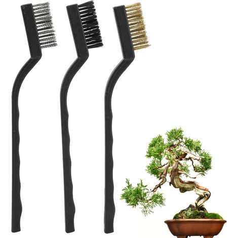3pcs Brosse Métallique Mini avec Manche Plastique pour Nettoyage Tronc Arbre Ébarbage Bonsai Outil Jardin