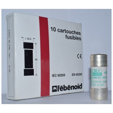 Fusible 50A cartouche 22X58mm aM usage industriel (boite de 10) HPC 80kA 660V avec percuteur EBENOID 060550
