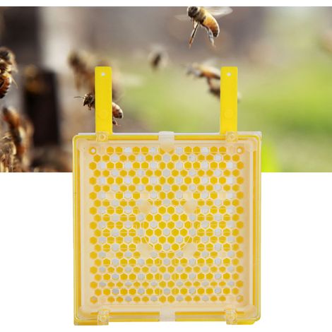 [Kit de Apicultura] + Sistema + Colmena + Injerto: Colmena reina con 115 celdas grandes y 115 pequeñas, 50 soportes, jaula, recinto (16,7 x 11,6 cm, plástico) (1/5)