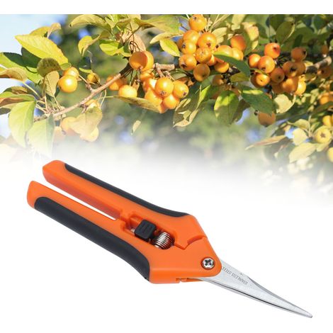 6,5 Zoll lange Gartenschere aus Edelstahl mit gebogenen Spitzen, manuelle Gartenschere, orange. (1/5)