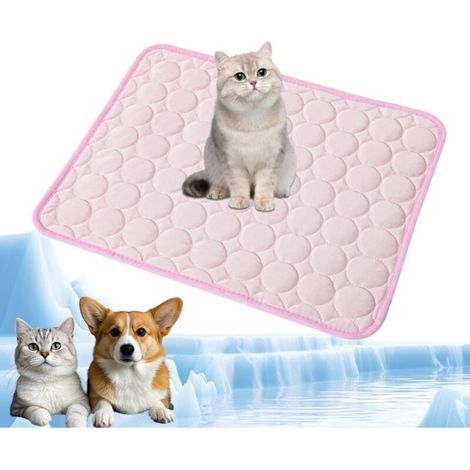 Tapis rafraichissant pour chien et chat (1/4)