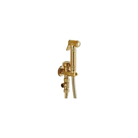 Bidet Spray Toilette - Douchette à Main en Laiton, Kit Douchette WC Mural avec Mitigeur Eau Froide, Doré