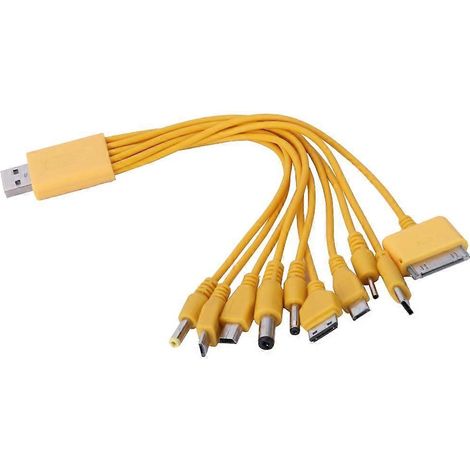 Câble USB 10 en 1 pour téléphone portable, câble de charge multiple, 23 cm (1/5)