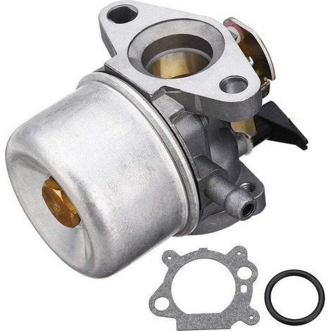 Briggs & Stratton Vergaser mit Dichtung Briggs & Stratton 498965 für Werkzeugraum (1/3)