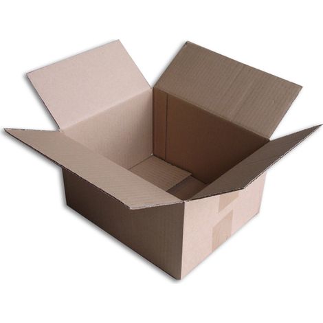 Lot de 50 Boîtes carton (N°22) format 250x200x140 mm