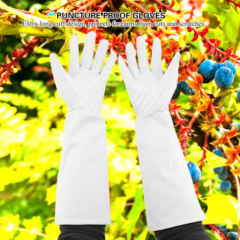 Gants de jardinage, gants d'apiculture, gants de protection résistants à l'abrasion, aux perforations et imperméables (1/5)