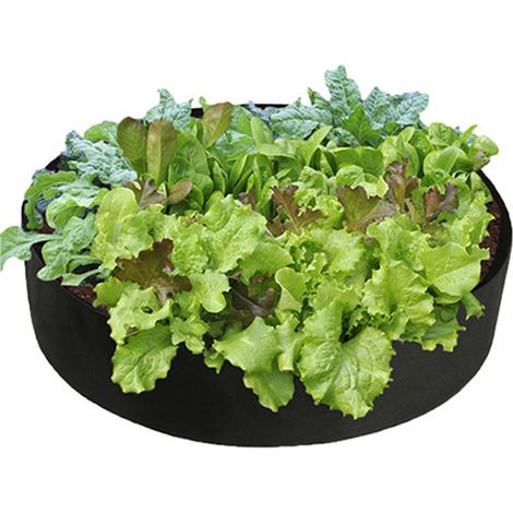 Sac de plantation, poche de plantation pour pommes de terre, tomates et fraises (1/5)